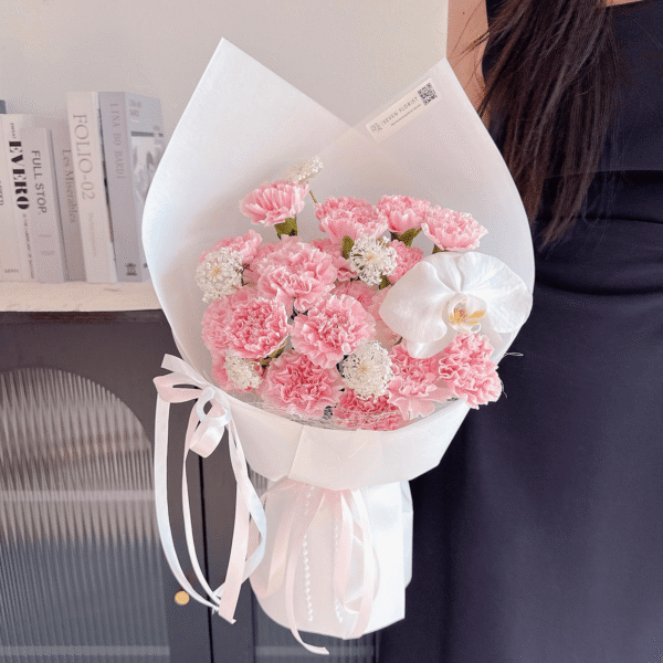 Carnation Muse