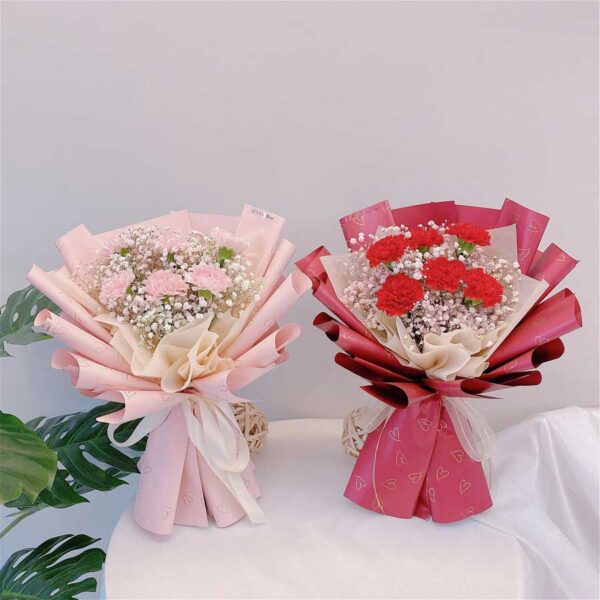 Lovely Carnation
