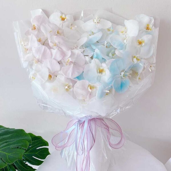 Phalaenopsis White (3 DAYS PRE-ORDER)