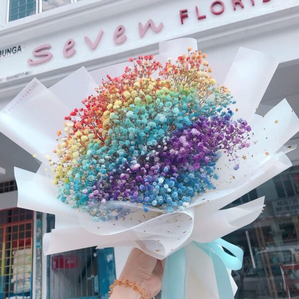Rainbow Baby