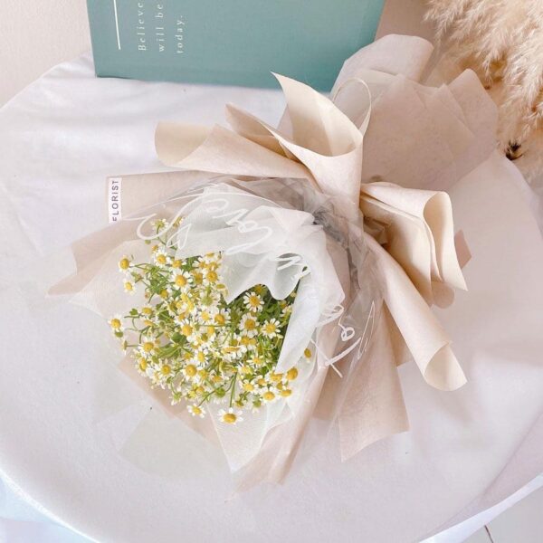 Chamomile